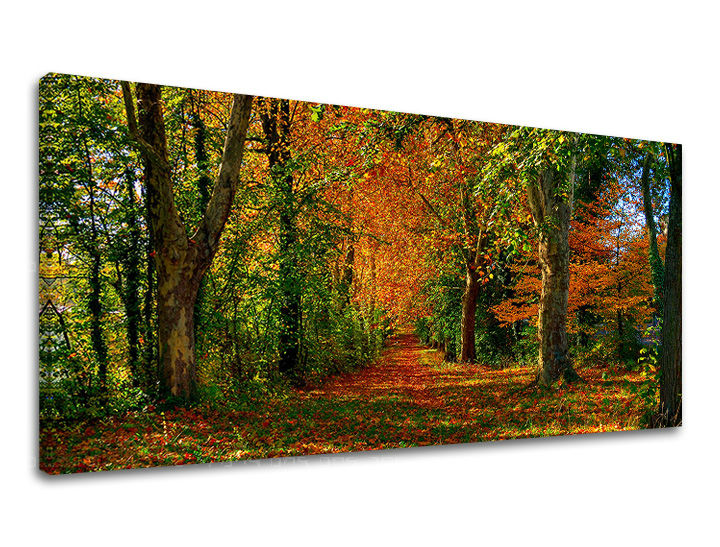 Stenska slika PANORAMA DREVESA 30x60 cm